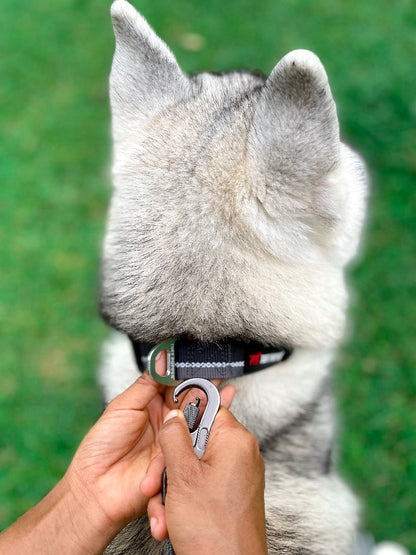 Tuff Pupper - Avail - Safety Leash - Steel Grey