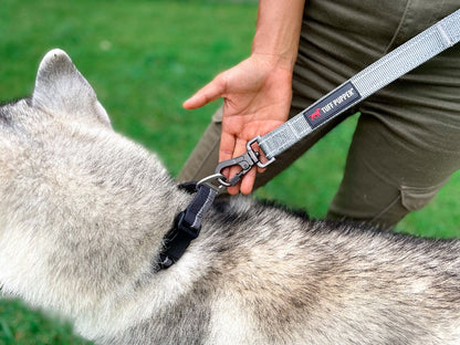 Tuff Pupper - Avail - Safety Leash - Steel Grey