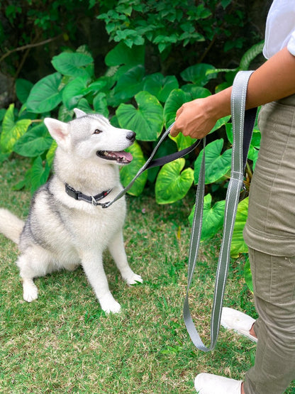 Tuff Pupper - Avail - Safety Leash - Steel Grey