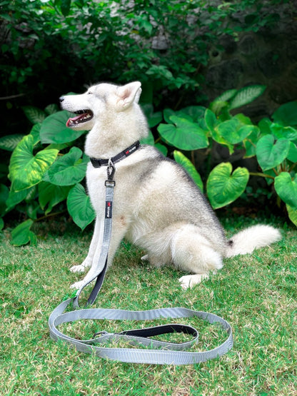 Tuff Pupper - Avail - Safety Leash - Steel Grey