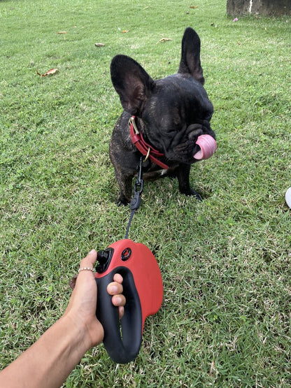 Tuff Pupper - Traverse - Retractable Leash - Crimson Red