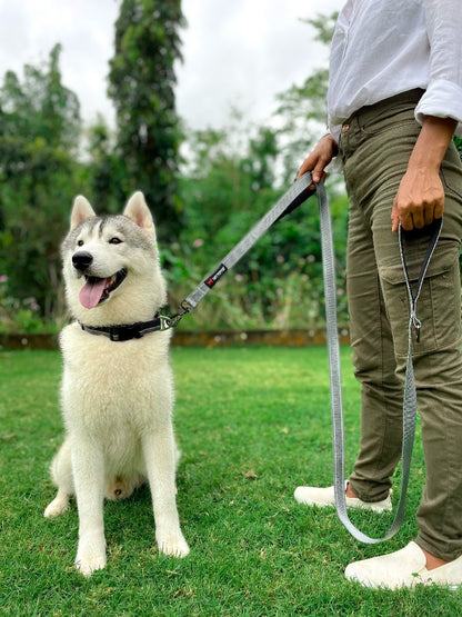 Tuff Pupper - Avail - Safety Leash - Steel Grey