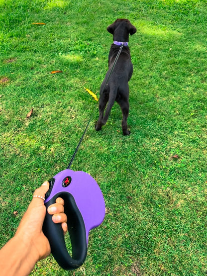 Tuff Pupper - Traverse - Retractable Leash - Ultra Violet