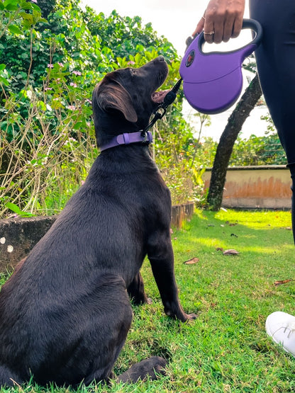 Tuff Pupper - Traverse - Retractable Leash - Ultra Violet