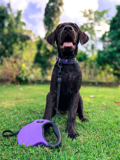 Tuff Pupper - Traverse - Retractable Leash - Ultra Violet