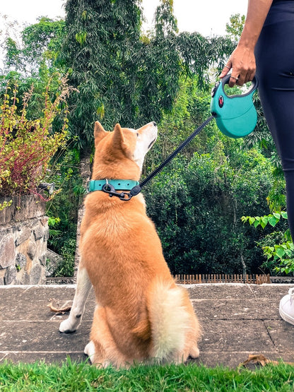 Tuff Pupper - Traverse - Retractable Leash - Quetzal Green