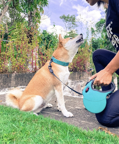 Tuff Pupper - Traverse - Retractable Leash - Quetzal Green