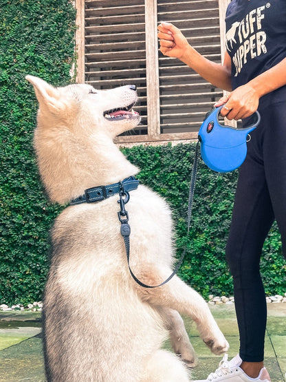 Tuff Pupper - Traverse - Retractable Leash - Nebulas Blue