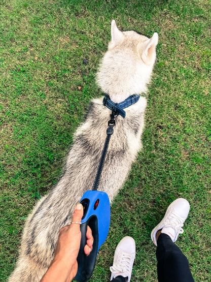 Tuff Pupper - Traverse - Retractable Leash - Nebulas Blue