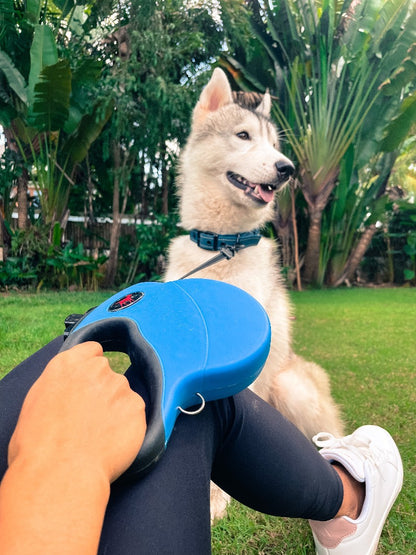 Tuff Pupper - Traverse - Retractable Leash - Nebulas Blue