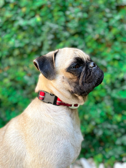 Tuff Pupper - Hero - Rugged Collar - Fiery Red