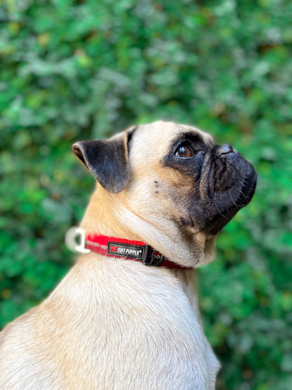 Tuff Pupper - Hero - Rugged Collar - Fiery Red