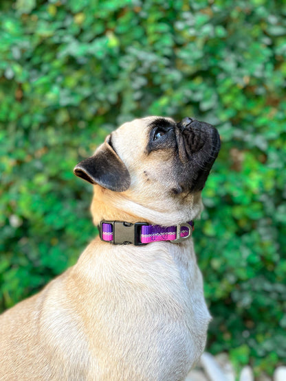 Tuff Pupper - Hero - Rugged Collar - Punch Purple