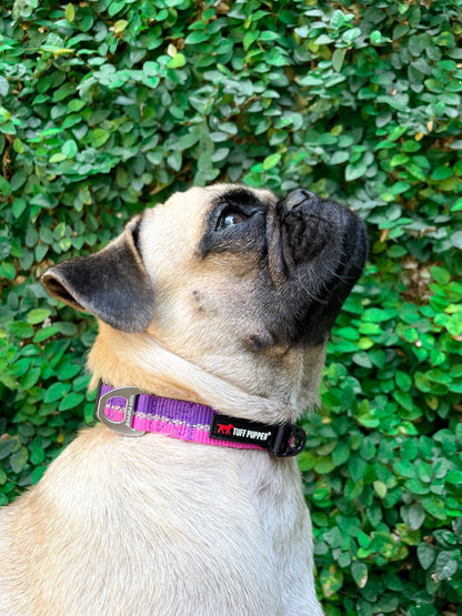 Tuff Pupper - Hero - Rugged Collar - Punch Purple