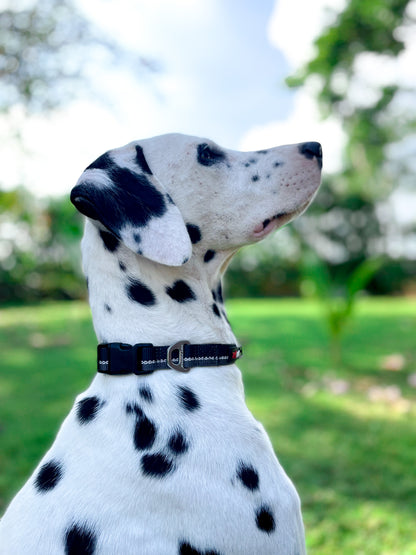 Tuff Pupper - Hero - Rugged Collar - Jet Black