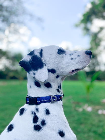 Tuff Pupper - Hero - Rugged Collar - Blazing Blue