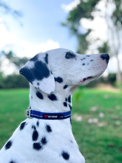 Tuff Pupper - Hero - Rugged Collar - Blazing Blue