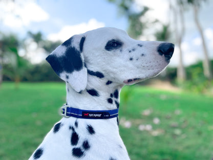 Tuff Pupper - Hero - Rugged Collar - Blazing Blue