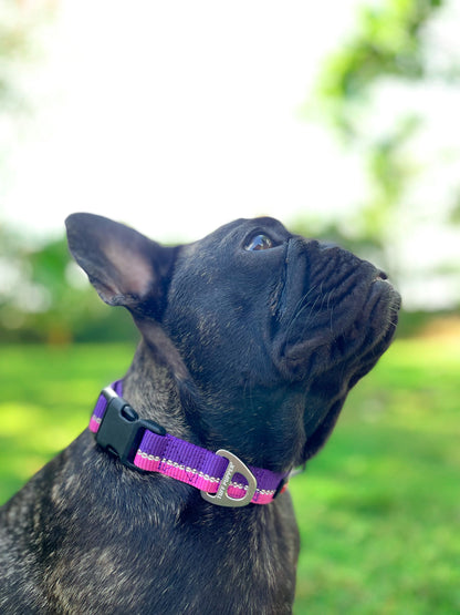 Tuff Pupper - Hero - Rugged Collar - Punch Purple