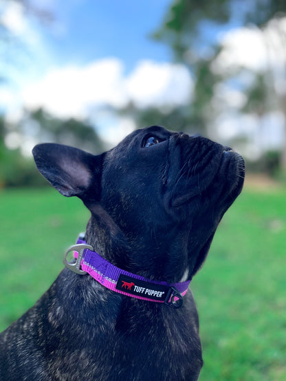 Tuff Pupper - Hero - Rugged Collar - Punch Purple