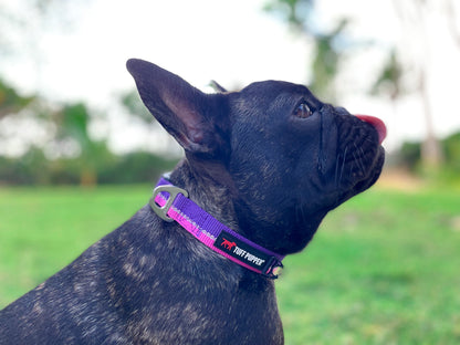 Tuff Pupper - Hero - Rugged Collar - Punch Purple