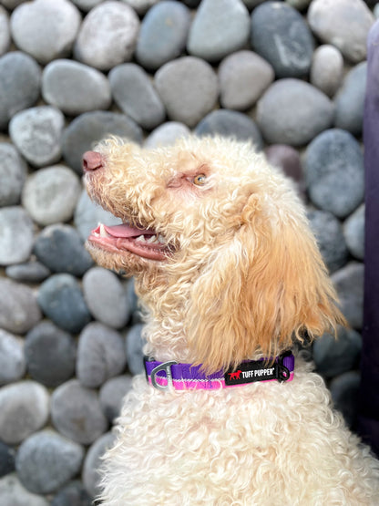 Tuff Pupper - Hero - Rugged Collar - Punch Purple