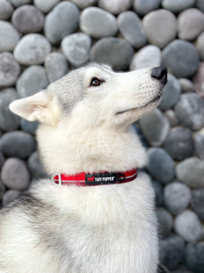 Tuff Pupper - Hero - Rugged Collar - Fiery Red