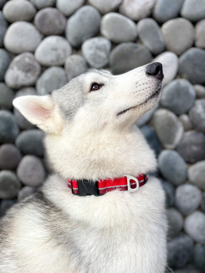 Tuff Pupper - Hero - Rugged Collar - Fiery Red