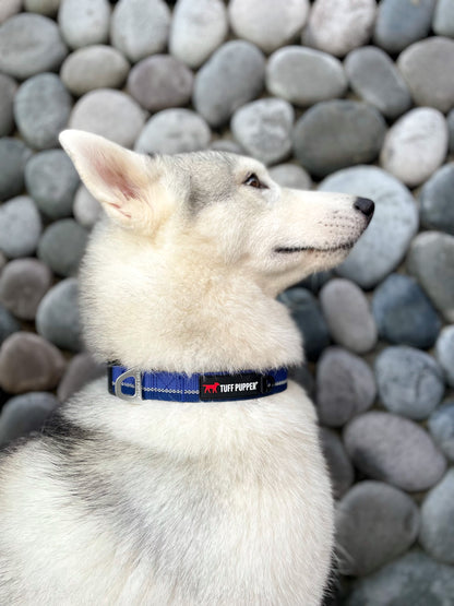 Tuff Pupper - Hero - Rugged Collar - Blazing Blue