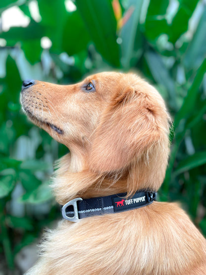 Tuff Pupper - Hero - Rugged Collar - Jet Black