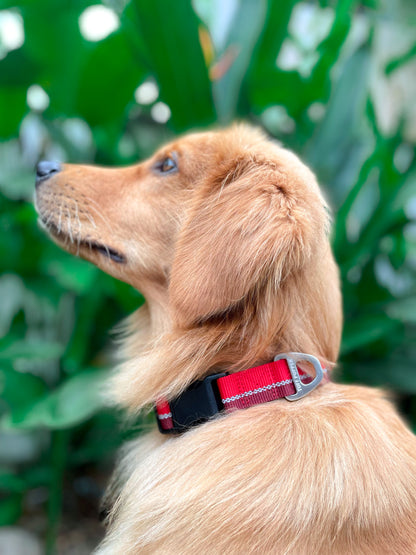 Tuff Pupper - Hero - Rugged Collar - Fiery Red