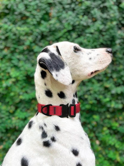 Tuff Pupper - Action - Tactical Collar - Crimson Red