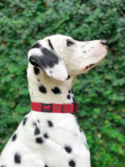 Tuff Pupper - Action - Tactical Collar - Crimson Red