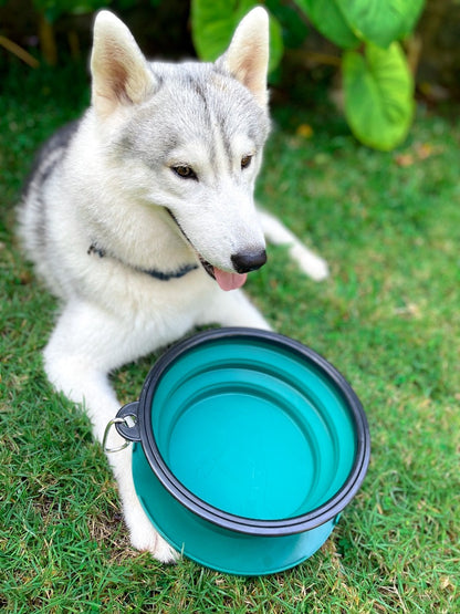 Tuff Pupper - 100oz XXL Slurp - Collapsible Bowl - Quetzal Green