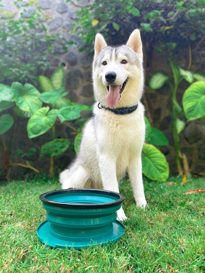 Tuff Pupper - 100oz XXL Slurp - Collapsible Bowl - Quetzal Green