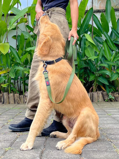 Tuff Pupper - Action - Tactical Leash - Rover Green