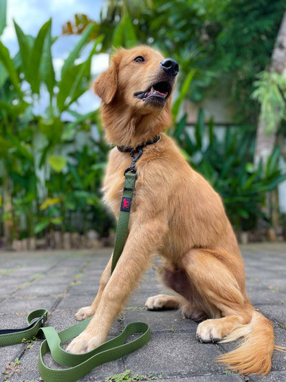 Tuff Pupper - Action - Tactical Leash - Rover Green