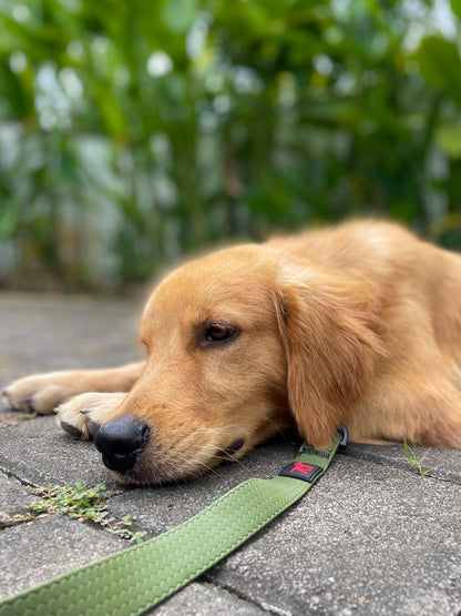 Tuff Pupper - Action - Tactical Leash - Rover Green