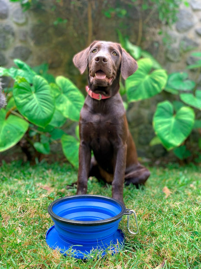 Tuff Pupper - 60oz Big Slurp - Collapsible Bowl - Nebulas Blue