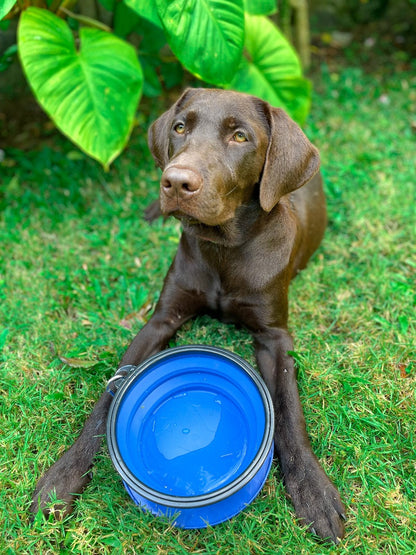 Tuff Pupper - 60oz Big Slurp - Collapsible Bowl - Nebulas Blue