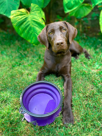 Tuff Pupper - 60oz Big Slurp - Collapsible Bowl - Ultra Violet