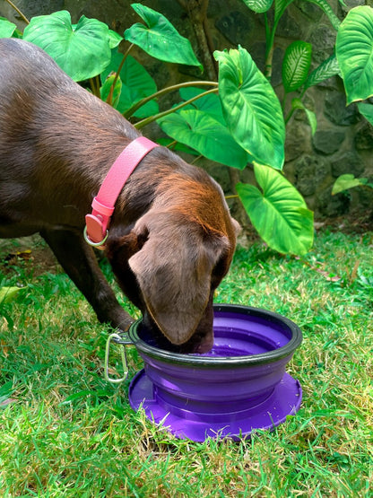 Tuff Pupper - 60oz Big Slurp - Collapsible Bowl - Ultra Violet