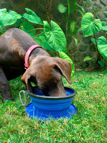 Tuff Pupper - 60oz Big Slurp - Collapsible Bowl - Nebulas Blue