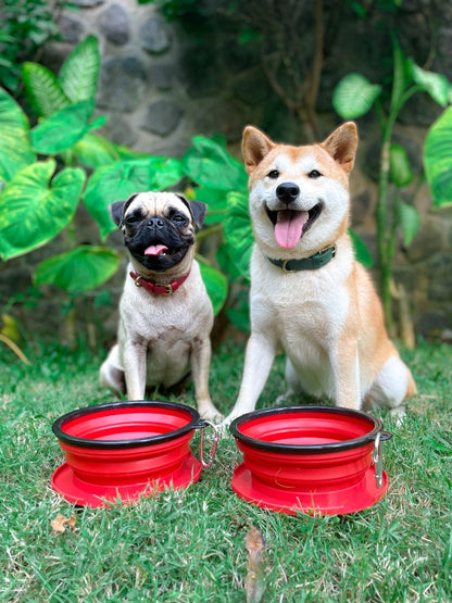 Tuff Pupper - 2 x 40oz Slurp - Collapsible Bowls - Crimson Red