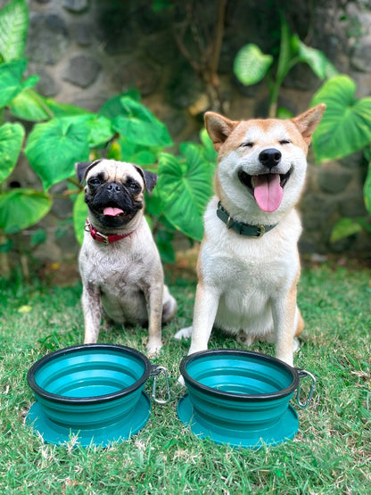 Tuff Pupper - 2 x 40oz Slurp - Collapsible Bowls - Quetzal Green