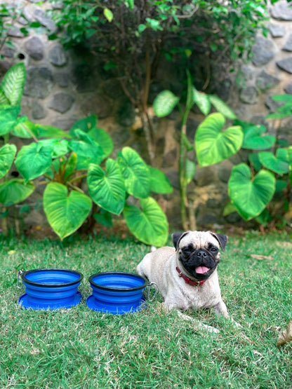 Tuff Pupper - 2 x 40oz Slurp - Collapsible Bowls - Nebulas Blue