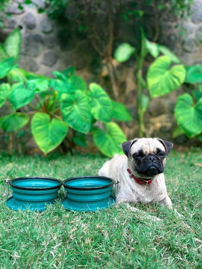 Tuff Pupper - 2 x 40oz Slurp - Collapsible Bowls - Quetzal Green