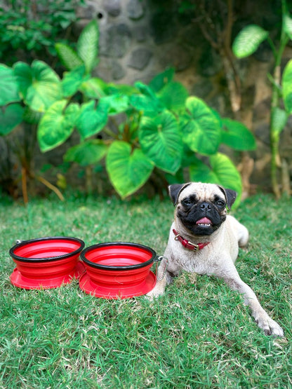 Tuff Pupper - 2 x 40oz Slurp - Collapsible Bowls - Crimson Red