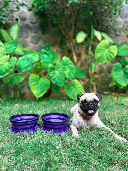 Tuff Pupper - 2 x 40oz Slurp - Collapsible Bowls - Ultra Violet