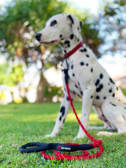 Tuff Pupper - Sentry - Rope Leash - Crimson Red